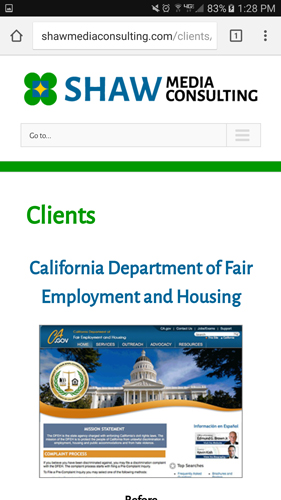 Shaw Media Consulting Website