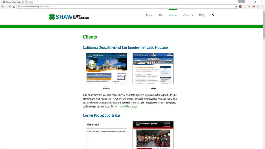 Shaw Media Consulting Website
